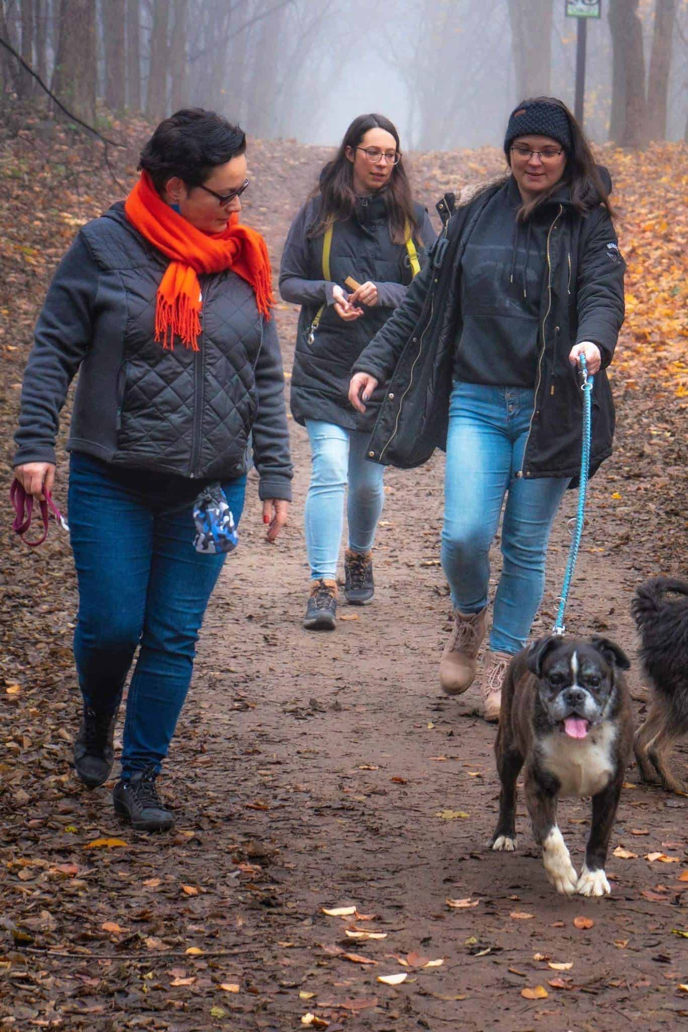 Gyakran felmerülő kérdések