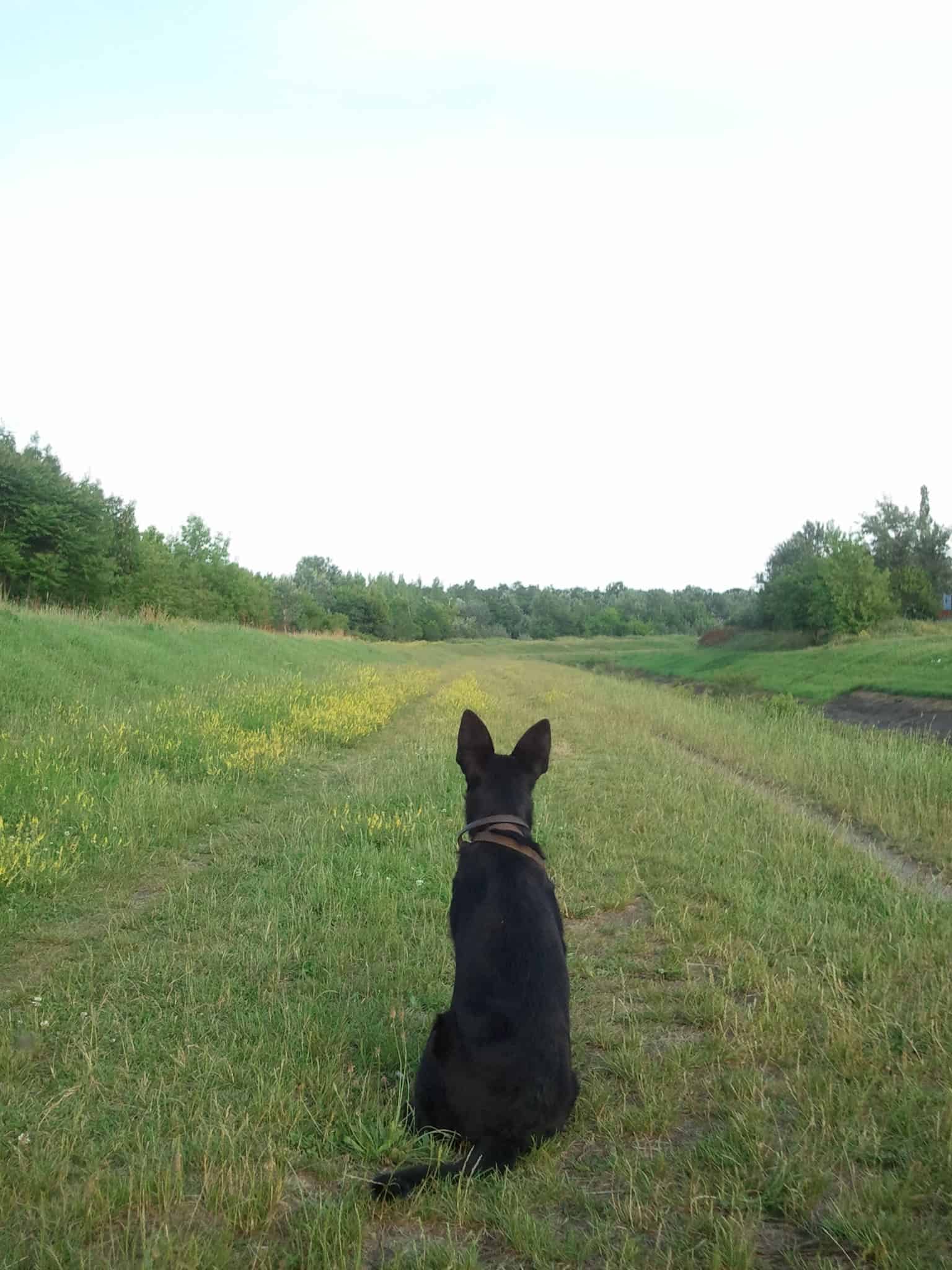 Helyben maradás folyamatos kommunikációval videóval