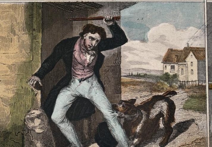 Labdával a szájban podcast 8. Rész – Állati történelem – Veszettség a 19. században