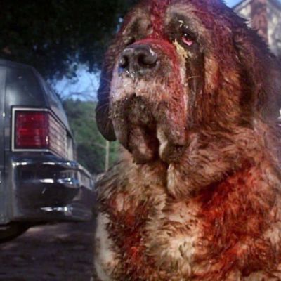 Cujo forrás: consequence.net