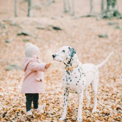 baby girl in pink jacket standing beside a dalmatian dog