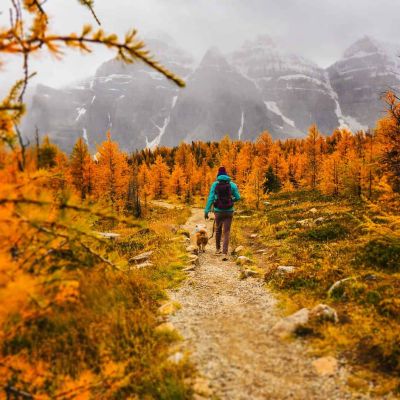 person walking on path