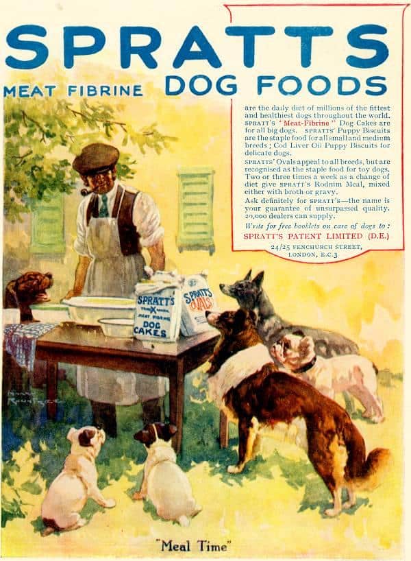 Állati történelem – A kutyaeledel története