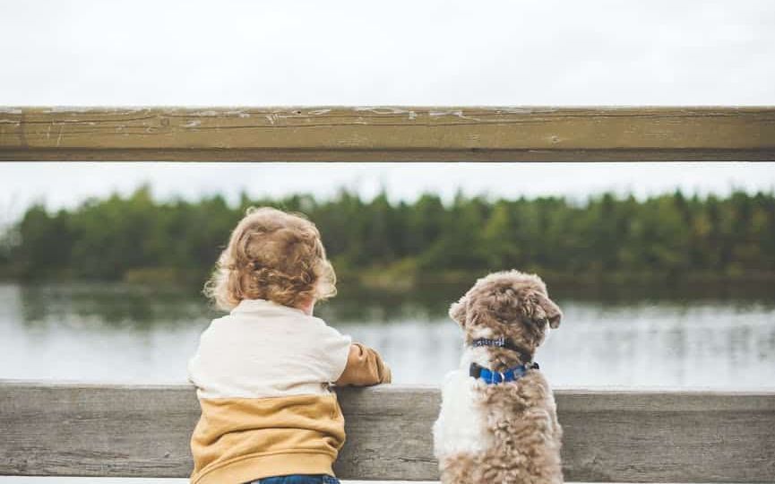toddler and dog standing by the wooden fence