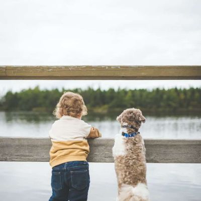 toddler and dog standing by the wooden fence