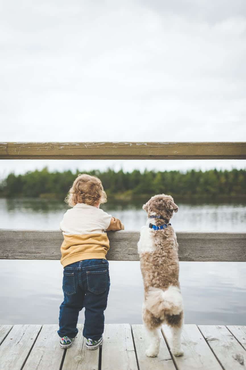 toddler and dog standing by the wooden fence
