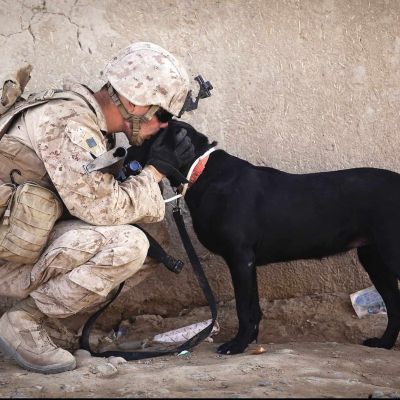 soldier and black dog cuddling