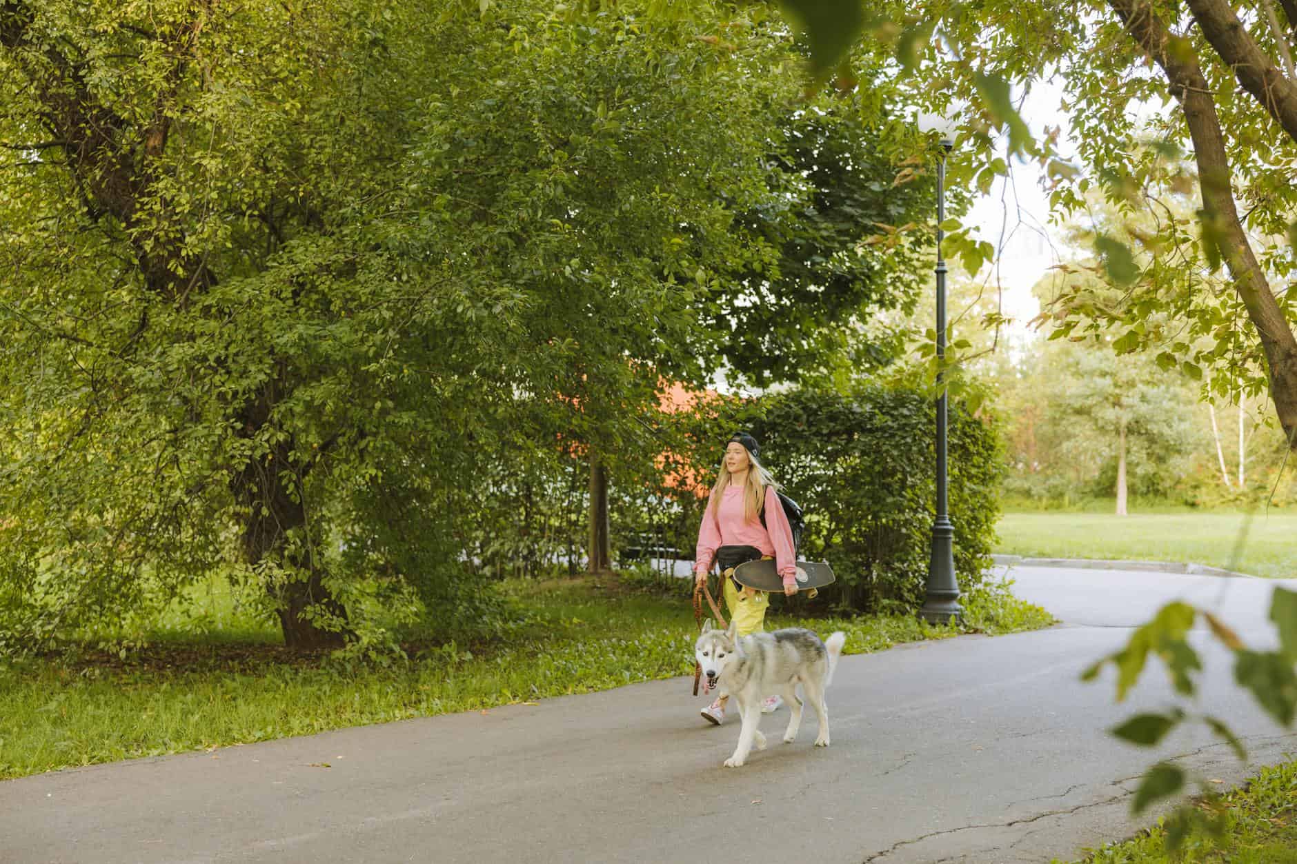 woman walking husky dog at park
