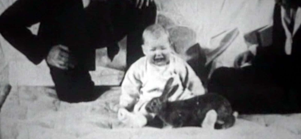 little-albert - 1